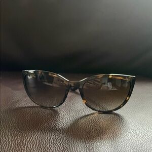 Ray-Ban Women's Classic Tortoise Sunglasses